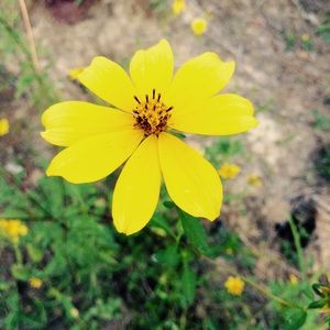 Meet your Posher, Nevaeh